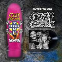Rare Ozzy Osbourne Signed Skate Deck