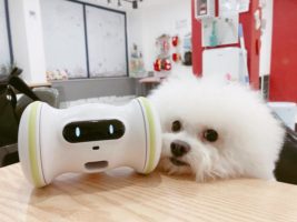 varram pet robot cat