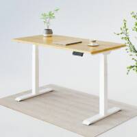 Flexispot Pro Plus Standing Desk